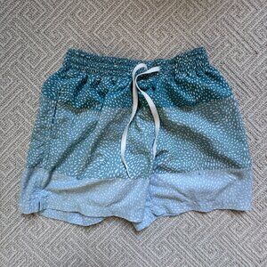 Chubbies Mens Swim Trunks Size S